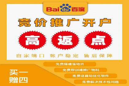 SEM外包服务应用案例分析